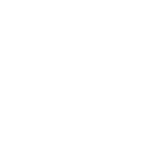 Slick Fork 